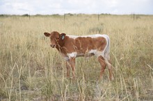 M2 Ellie Mae x M2 Total Eclipse